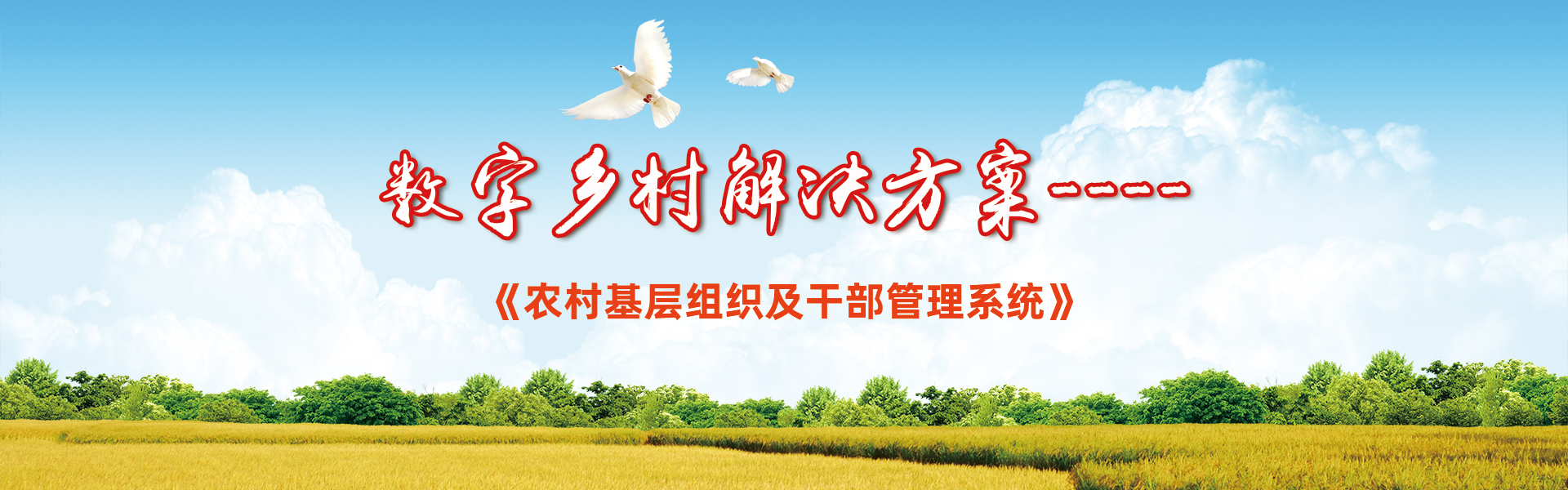 農村干部管理系統